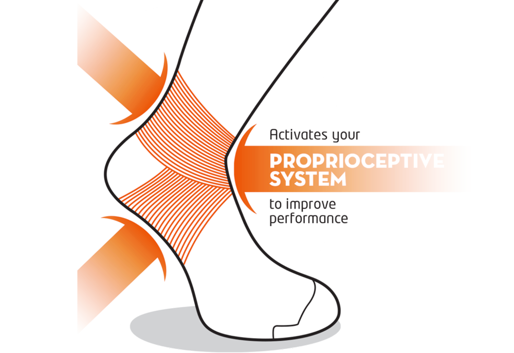 What is Proprioception?