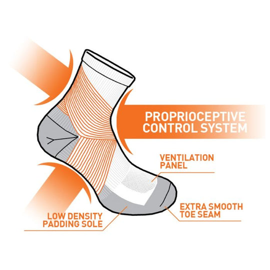 Equilibrium Light Pad Quarter High Socks - SE101