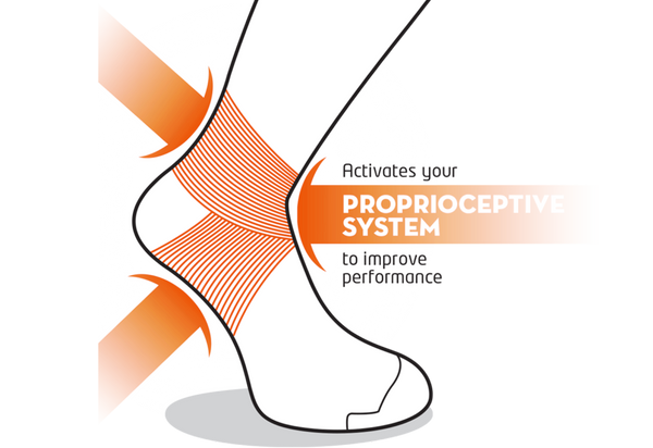 What is Proprioception?
