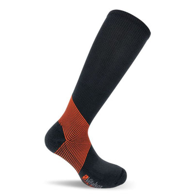 Equilibrium Compression Over The Calf-CBN-ORG-L